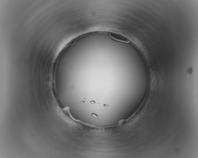 X0000110950896200907022154