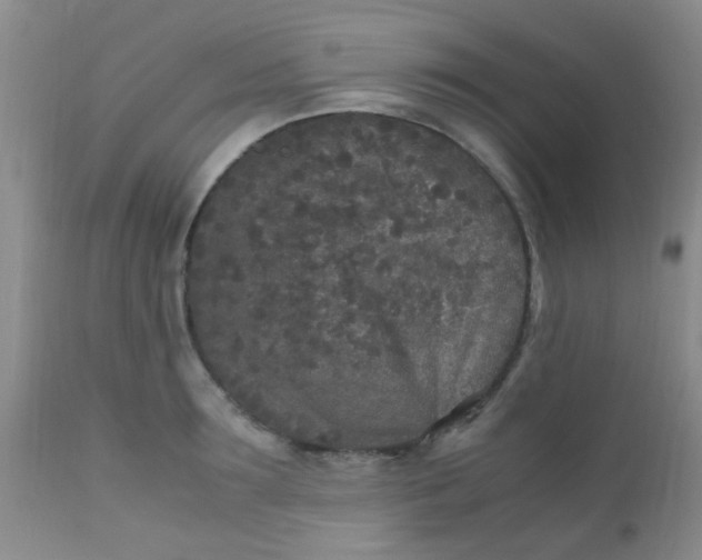 X0000110950899200907022154