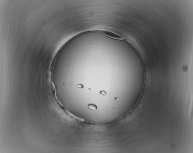 X0000110950900200907022154