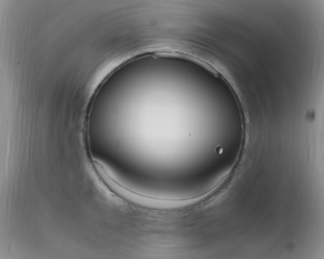 X0000110950901200907022154