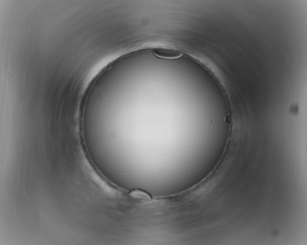 X0000110950902200907022154