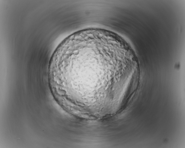 X0000110950903200907022154