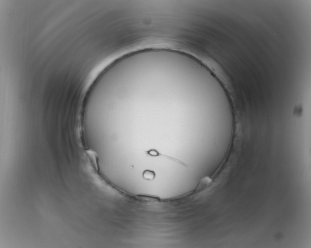 X0000110950904200907022154