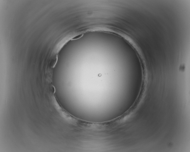 X0000110950905200907022154