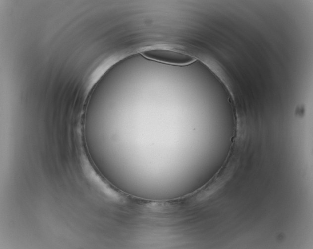 X0000110950906200907022154