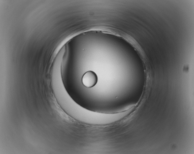 X0000110950908200907022154