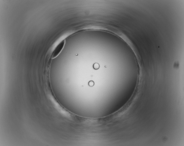 X0000110950909200907022154