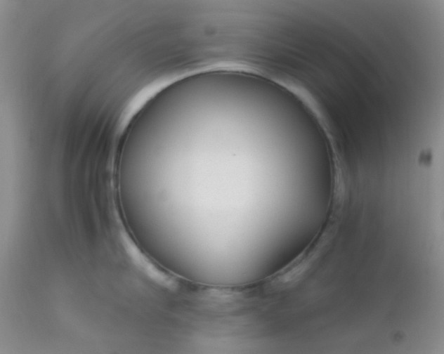 X0000110950910200907022154