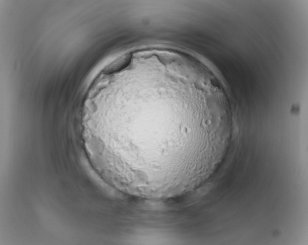 X0000110950911200907022154