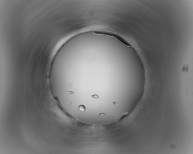 X0000110950912200907022154