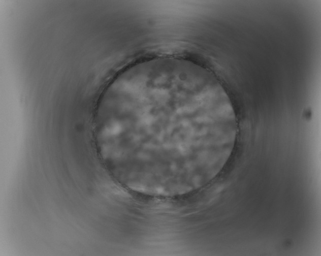 X0000110950913200907022153