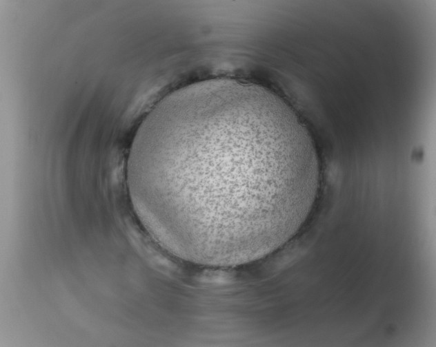 X0000110950914200907022153