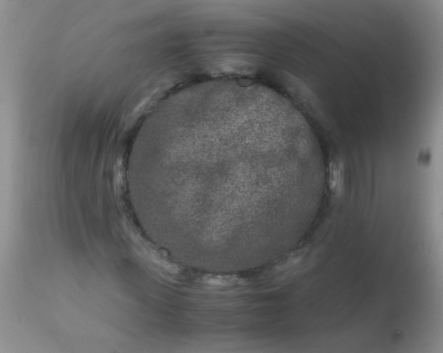 X0000110950915200907022153