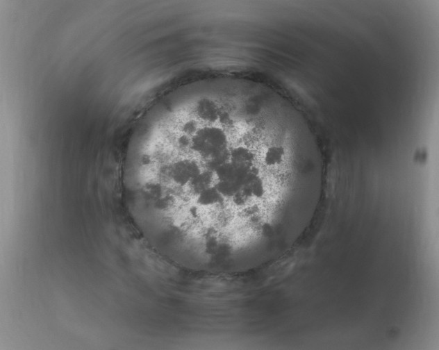 X0000110950917200907022153