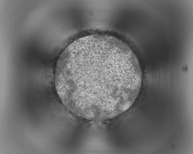 X0000110950918200907022153