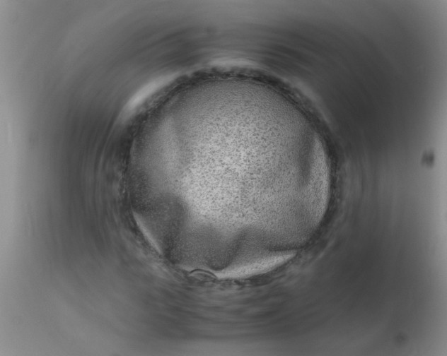 X0000110950919200907022153