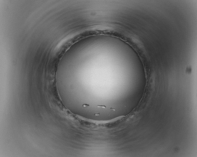 X0000110950920200907022153