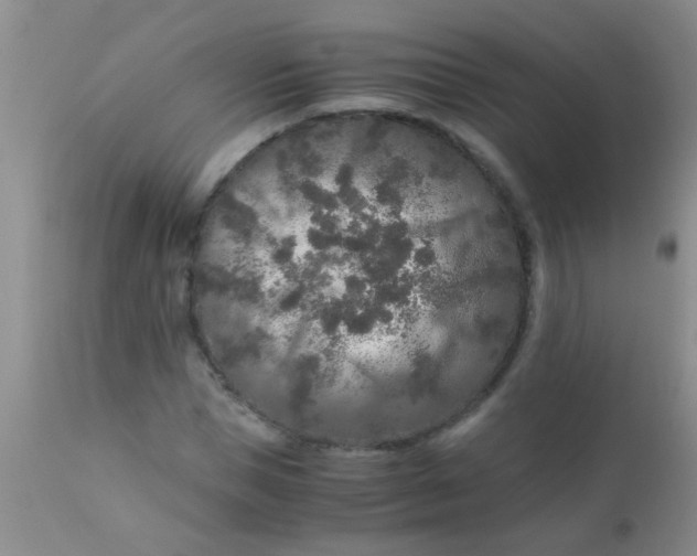 X0000110950921200907022153