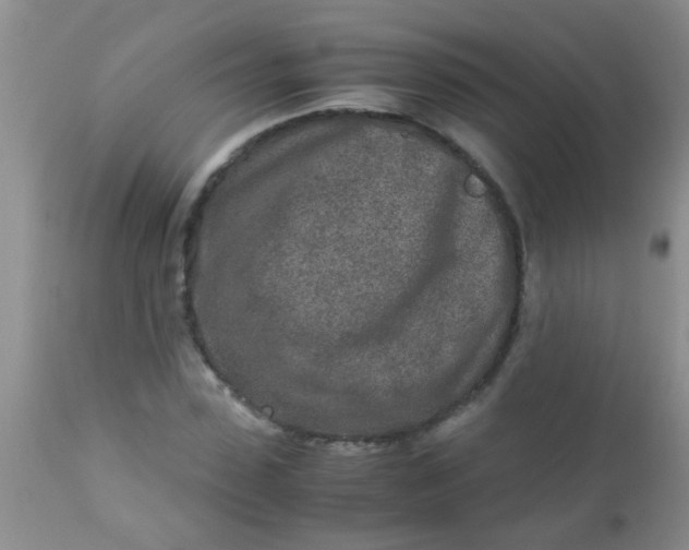 X0000110950923200907022153