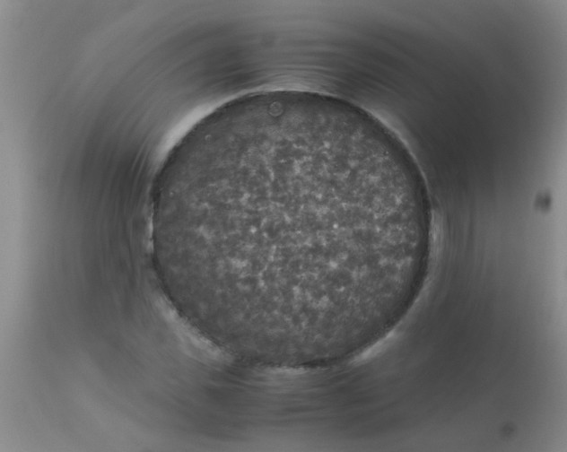 X0000110950925200907022153