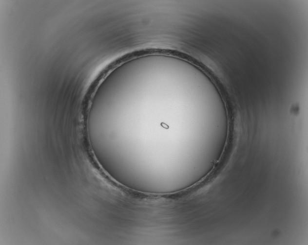 X0000110950926200907022153