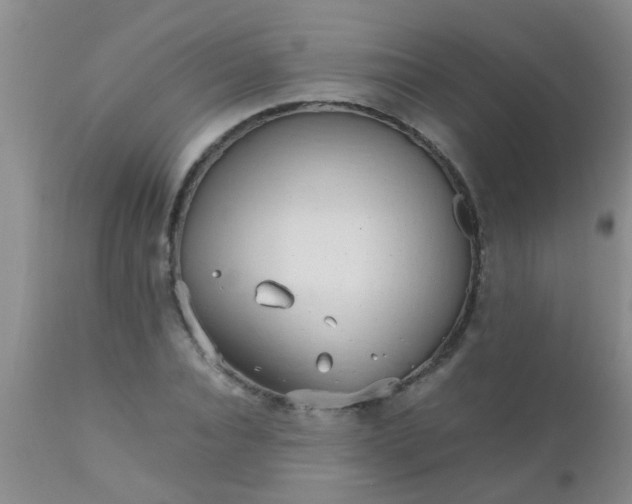 X0000110950928200907022153