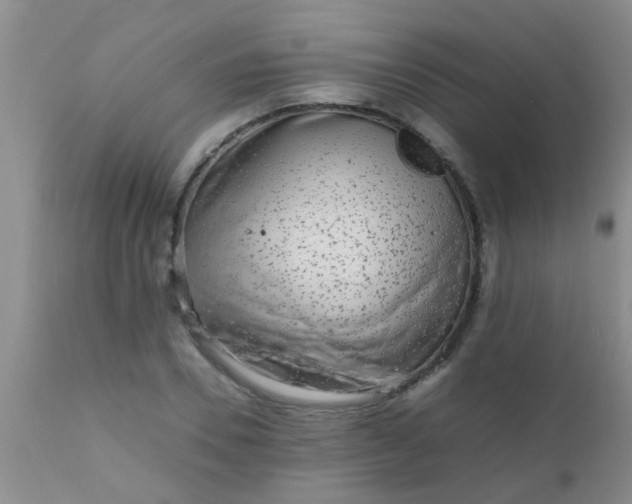 X0000110950930200907022153