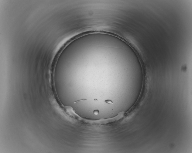 X0000110950932200907022153