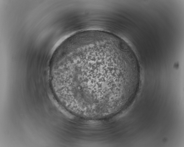 X0000110950933200907022153