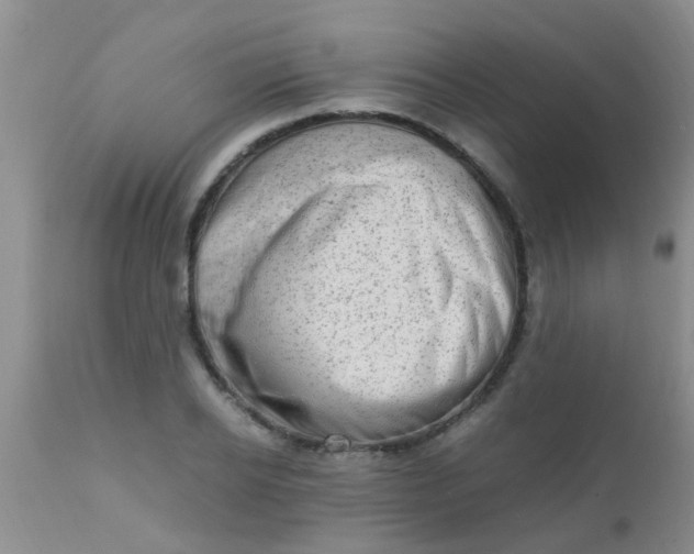 X0000110950934200907022153