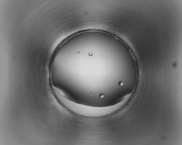 X0000110950936200907022153