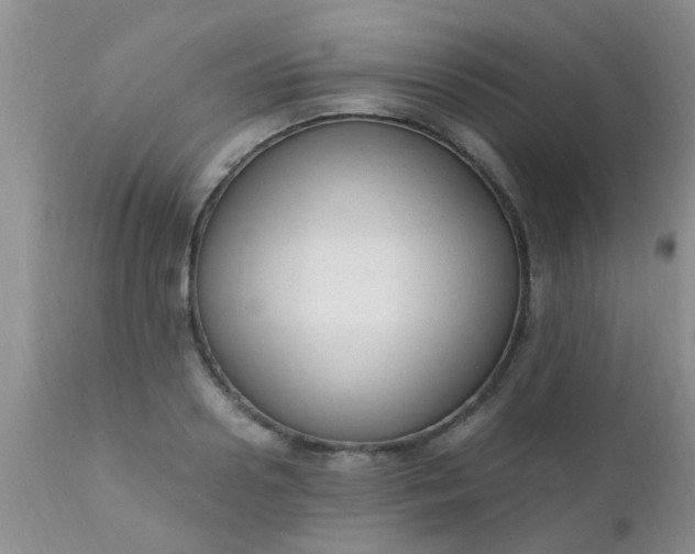 X0000110950938200907022153