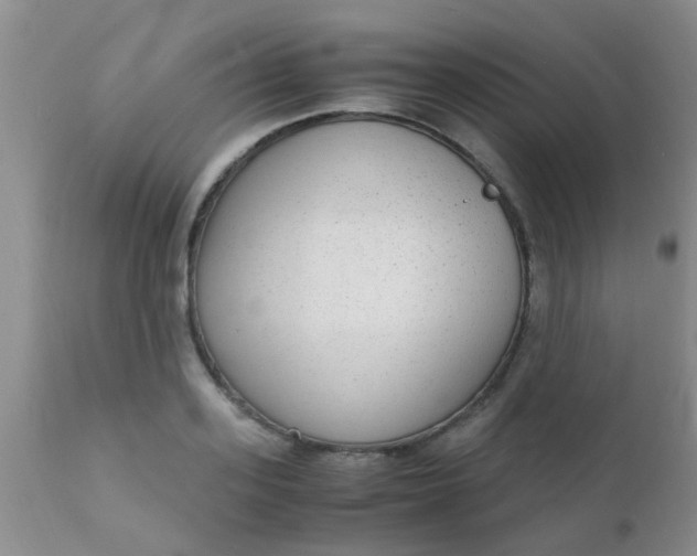 X0000110950939200907022153