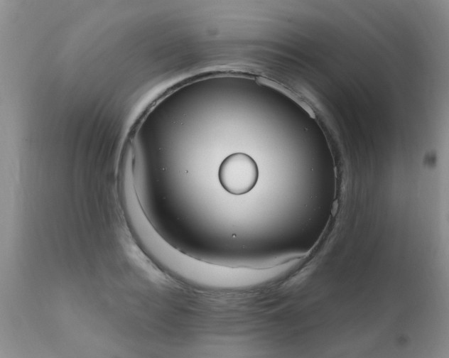 X0000110950940200907022153