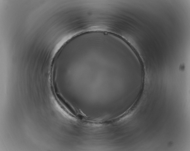 X0000110950941200907022153