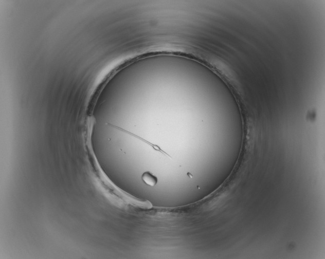 X0000110950942200907022154