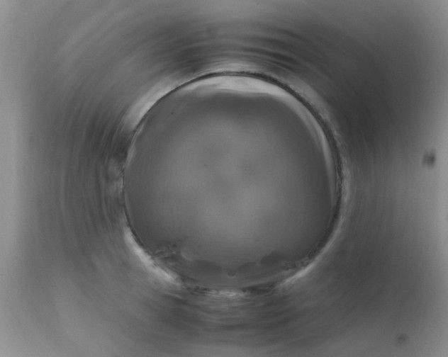 X0000110950945200907022154