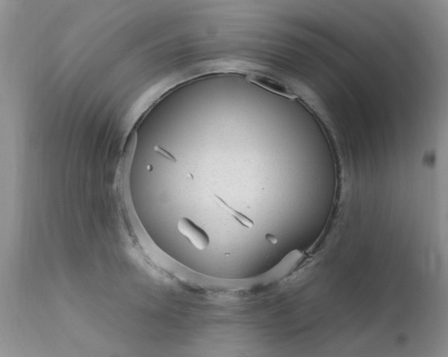 X0000110950946200907022154