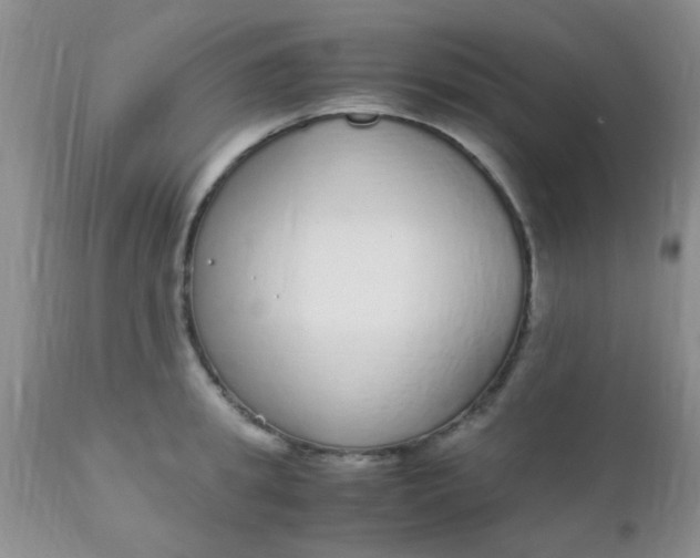 X0000110950949200907022154