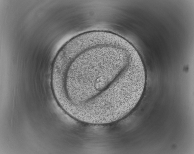 X0000110950950200907022154