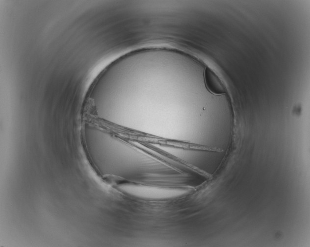 X0000110950951200907022154