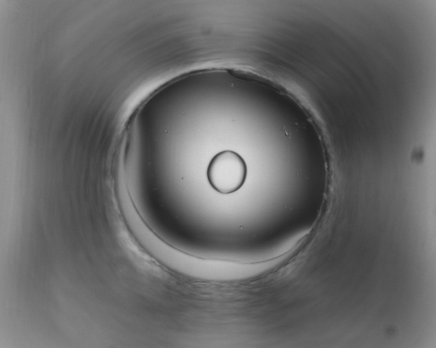 X0000110950952200907022154