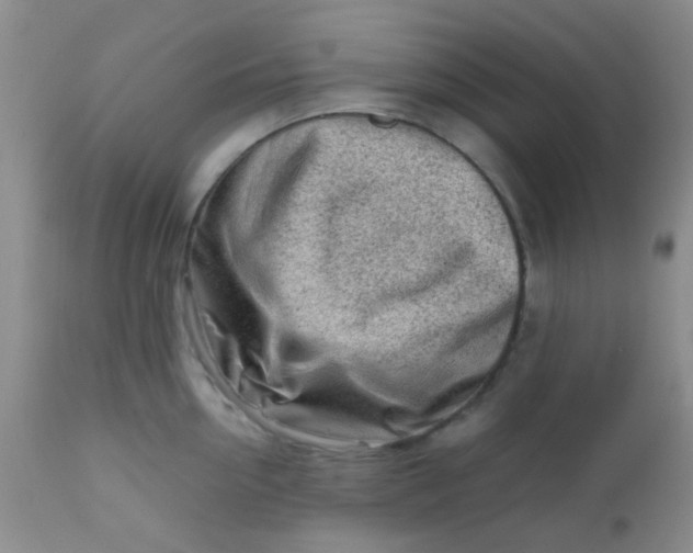 X0000110950954200907022154