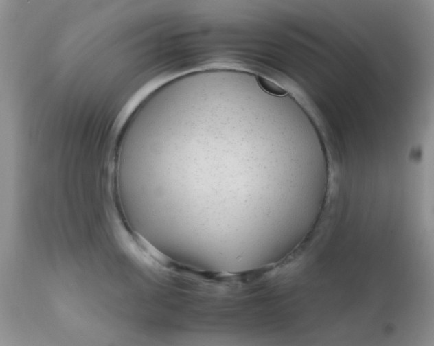 X0000110950955200907022154