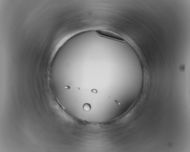 X0000110950956200907022154