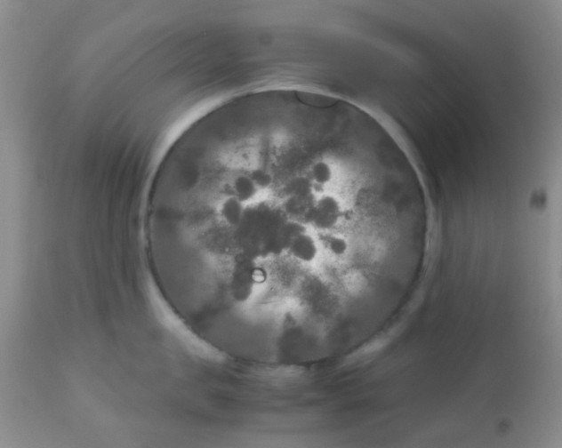 X0000110950957200907022154