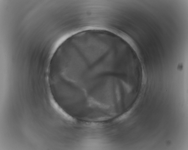 X0000110950958200907022154