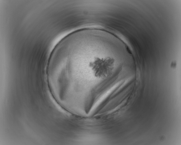 X0000110950959200907022154