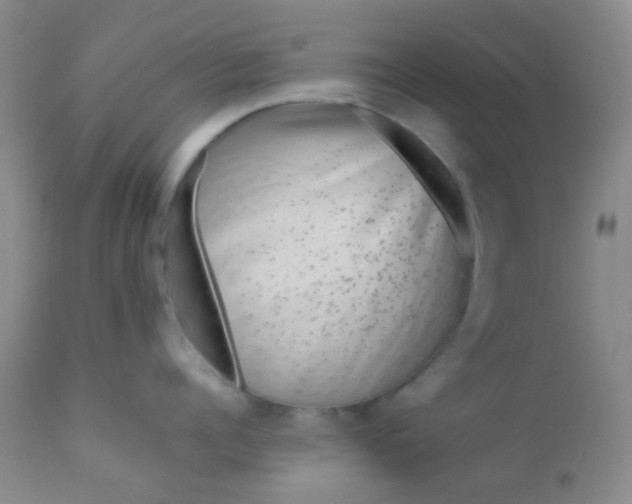 X0000110950960200907022154