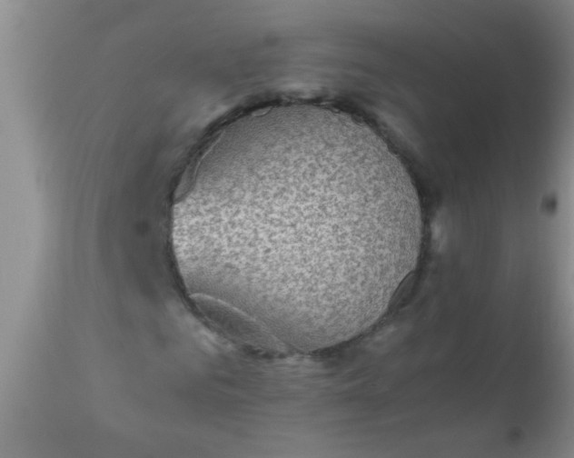 X0000110950961200907022153